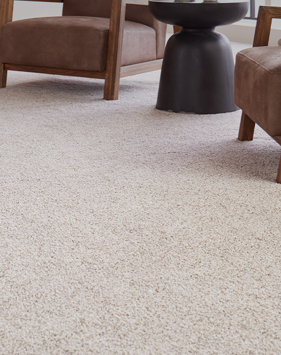light brown carpet in living room